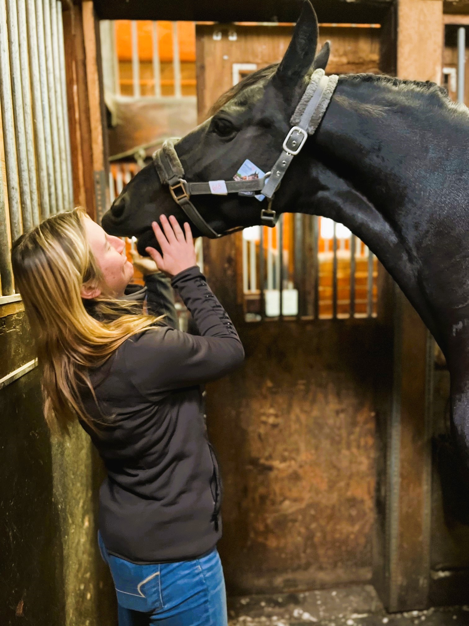 Friesian YFKE STER SPORT - Sold